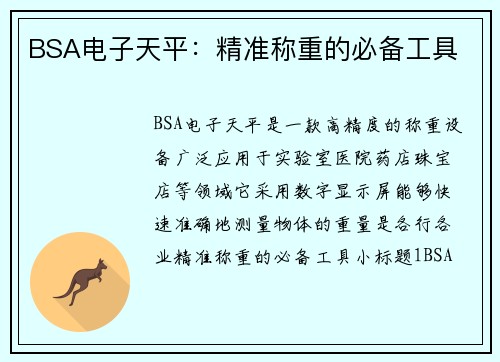 BSA电子天平：精准称重的必备工具